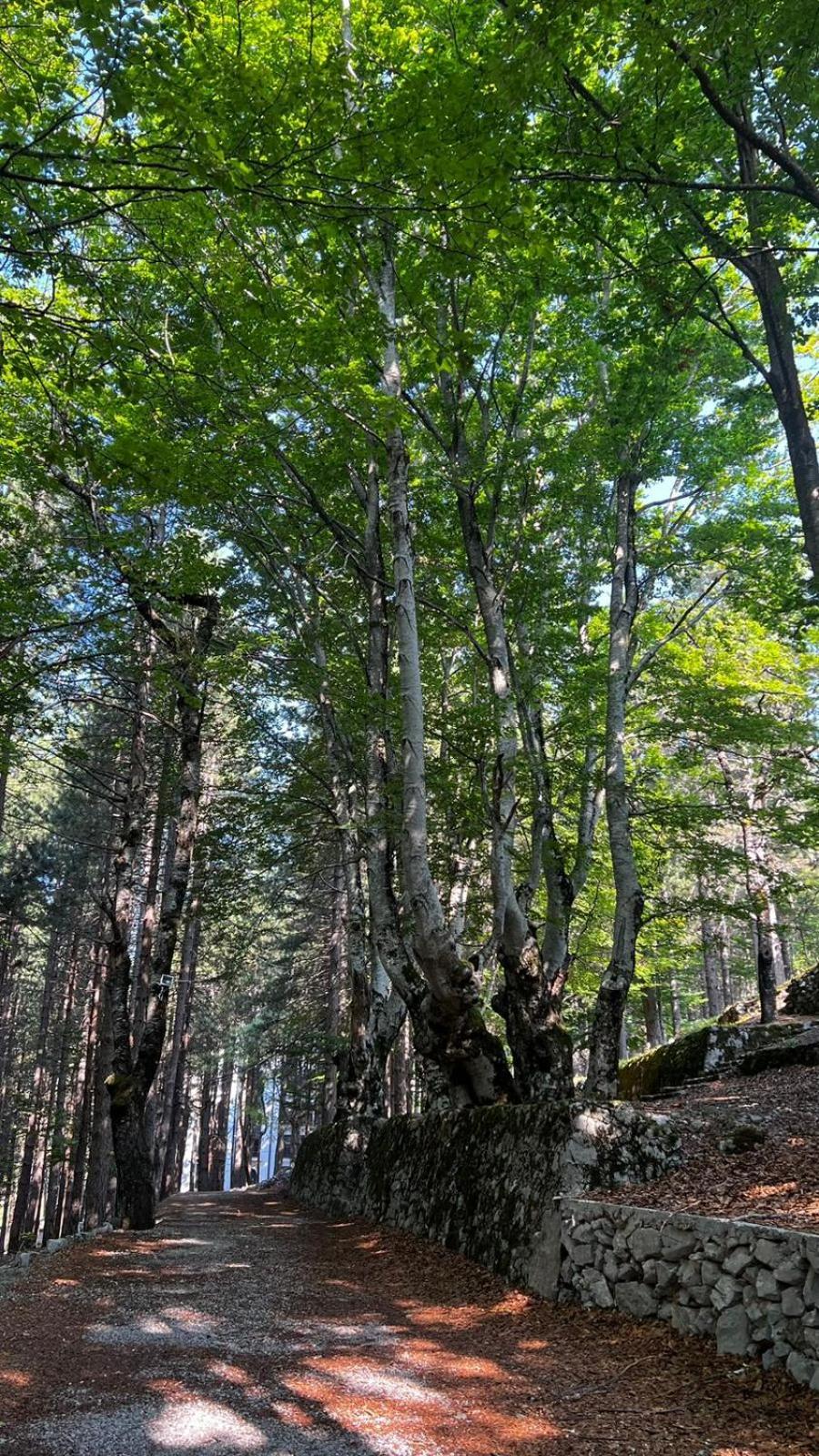 Vila Pepaj Razëm Exteriér fotografie